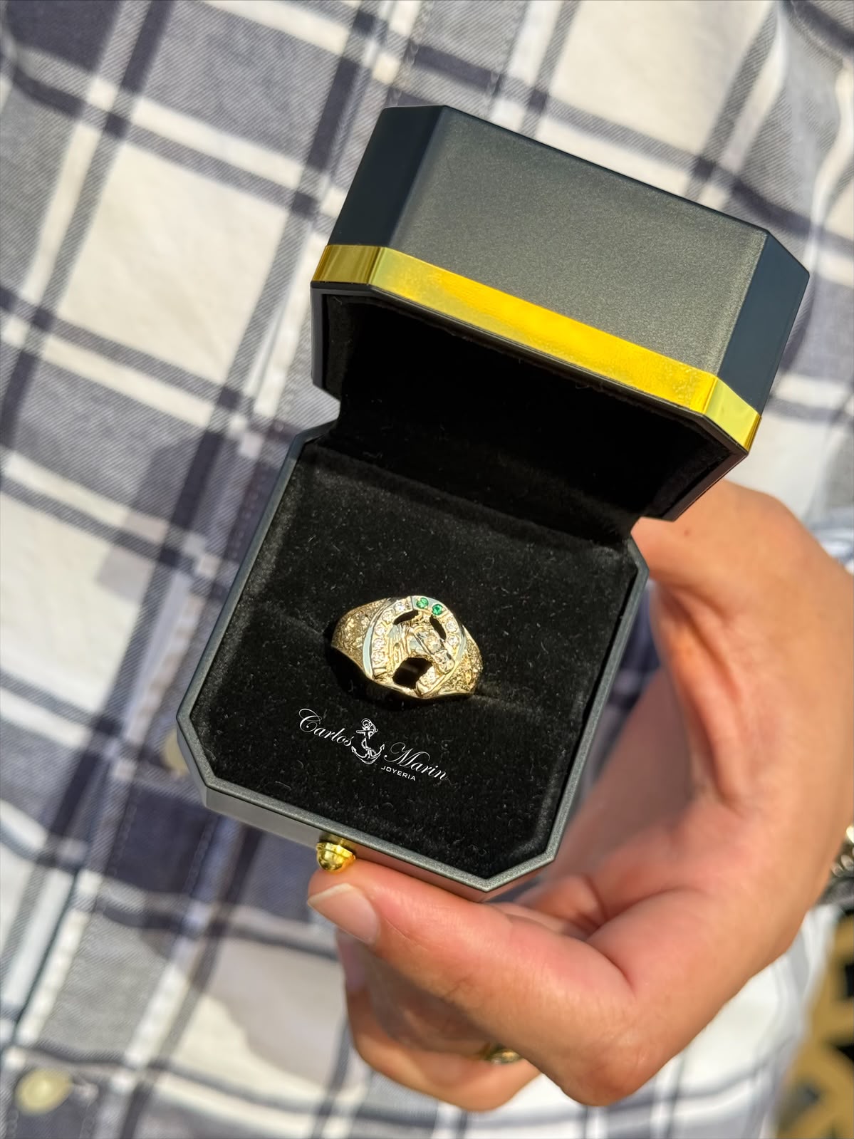 Anillo Hombre Herradura con Circones Verdes y Blancos en Oro 18K