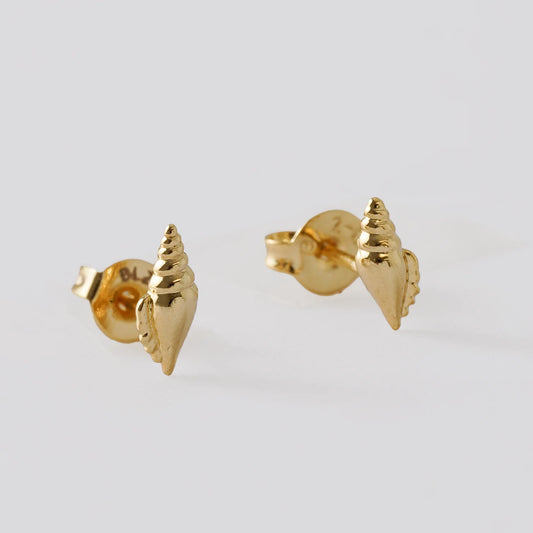 Topos Shell Oro Laminado