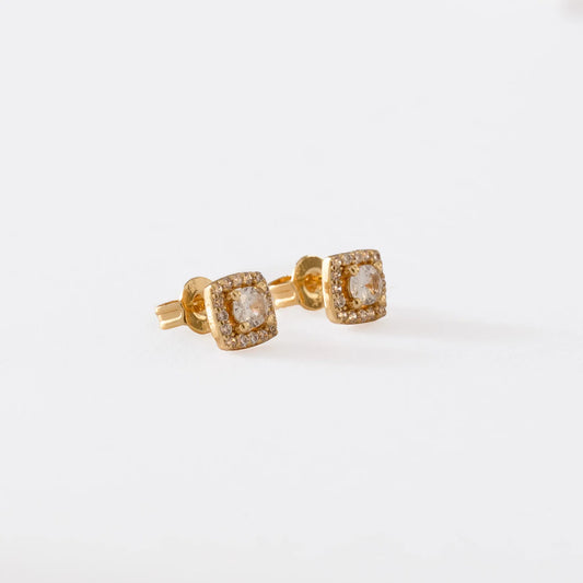 Topos Dynasty 6 mm en Oro Laminado